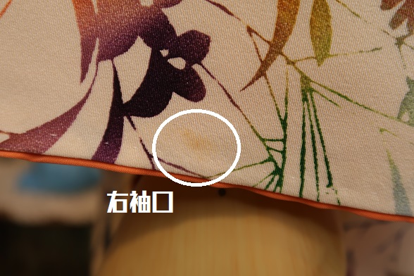 トロピカルな菊柄染袷きもの【身丈155.5×裄丈69】